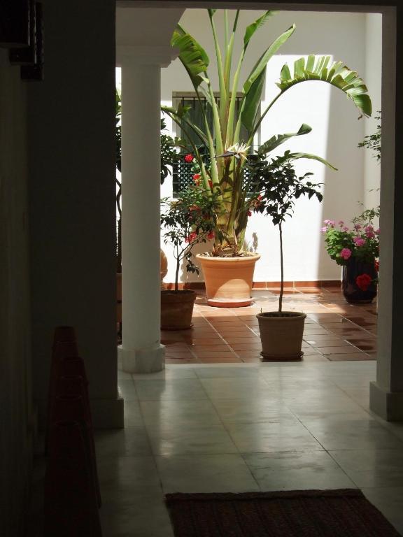 Casa Atlantica Beautiful Apartments Rota Luaran gambar
